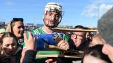 PICTURES: Limerick hurling supporters celebrate league final victory