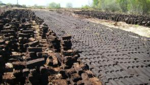 Representatives of European countries meet in Ireland to discuss development of peatlands