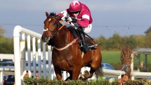 THE PUNTER'S EYE: Samcro can reign supreme for Elliott at Navan 