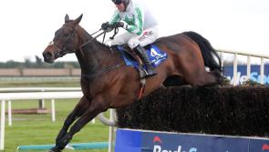 THE PUNTER'S EYE: Punchestown Day 2 Tips and Preview 
