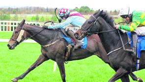 THE PUNTER'S EYE: Three horses to follow at Kilbeggan on Friday evening