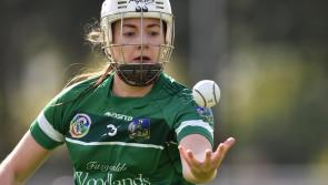Limerick lose to Offaly in Camogie Championship opener
