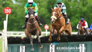 THE PUNTER'S EYE: 'Canny' horse racing tips to make it a profitable weekend