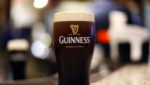 #LimerickPoll: Final 15 for Limerick pub serving best pint of Guinness