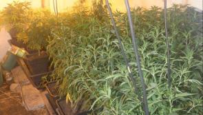 Garda&iacute; in Listowel seize drugs worth &euro;350K