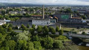 'Masterplan' to be drawn up for development of iconic Limerick riverside site
