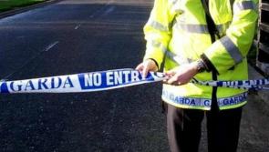 Garda&iacute; arrest man in his 20s in relation to fatal hit and run collision