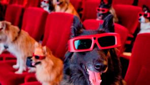 Sixteen films on TV to help keep you sane and safe this week