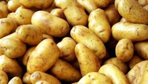 Over &euro;3 m for chips and spuds from Irish government in run-up to St Patrick's Day