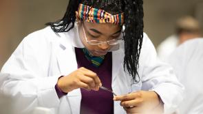 More than 700 science students to visit University of Limerick this week