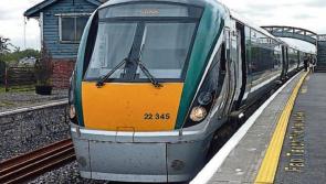 Herd of deer killed in Irish Rail crash between Thurles and Limerick Junction