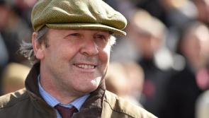 Limerick 'Banks King' Enda Bolger chases sixth cross country win at Cheltenham 