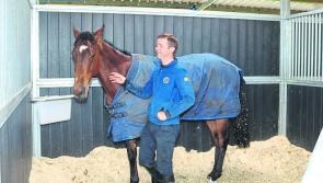 WATCH: Ballingarry trainer Richard O'Brien on Saturday's Open Morning and his Royal Ascot hopes