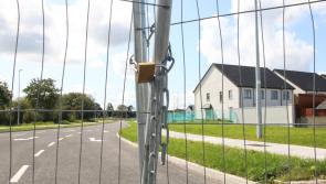 WATCH: Auctioneer allays fears after work stops at Limerick housing development