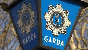 Garda extradition unit arrests Slovakian man living in Ireland under false identities