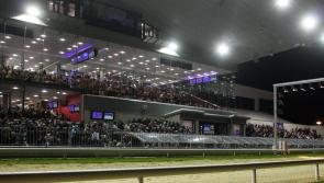 Con and&nbsp;Annie Kirby Memorial is to return to Limerick Greyhound Stadium in 2021