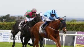Prolific Limerick jockey Chris Hayes is back among the winners