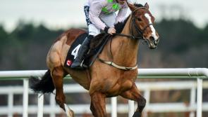 Heavyweight clash highlight of sparkling opening day at Limerick Christmas Racing Festival
