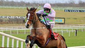 WATCH: Bumper crowds flock to Limerick Christmas Racing Festival as Faugheen stars