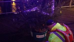 Suicide prevention team 'disgusted' after remembrance tree vandalised in Limerick city 