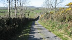 Govt issues reminder not to cut or burn hedgerows between March 1 and August 31 