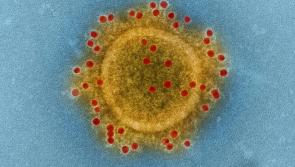 EXPLAINER: Everything you need to know about the new Omicron XE subvariant