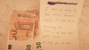 RANDOM ACTS OF KINDNESS: Boomer's vet bill hero