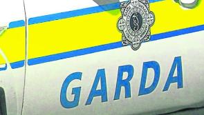 Representative group calls for mandatory driving training for all frontline garda&iacute;