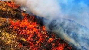 &nbsp;Almost 50% of Irish people worry wildfires caused by climate change will harm local area