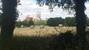 Wanted! Send us your snaps from Limerick&rsquo;s luscious land
