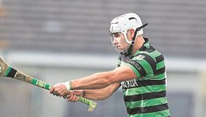 Glenroe maintain unbeaten run with victory over Cappamore in the Limerick Premier IHC