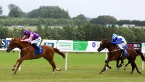 WATCH: Limerick jockey Billy Lee lands feature race at Naas as Chris Hayes also on the mark