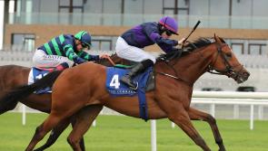 Winners alright as Limerick racing enthusiasts continue successful spell