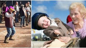 Ploughing 2022: The types of people you'll meet every year at the Ploughing