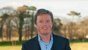 'Photography is the art of freezing moments' says former Limerick engineer 