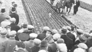 SLIDESHOW: The National Ploughing Championships were very different in the good old days