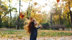 Get your 40 page Autumn Breakaways supplement FREE with this week's Limerick Leader