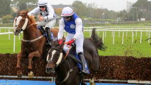 Limerick racing enthusiasts in red hot form on the track