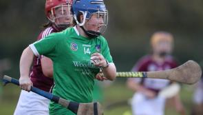 Limerick suffer defeat to Westmeath in All-Ireland Senior Camogie Championship