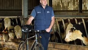 John Hayes insists Munster will add more 'energy and dynamism' when key injuries clear