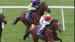 Winners alright for Limerick jockeys!