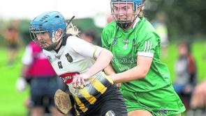 Limerick complete All-Ireland Camogie Championship campaign against Kilkenny