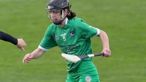 Limerick's All-Ireland Camogie Championship campaign ends with defeat to Kilkenny