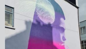 Newly formed community organisation in Limerick launches new website