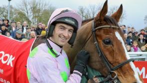 Stellar entry for Limerick's Grade 1 Matchbook Betting Exchange Faugheen Novice Chase