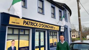 Paint County Limerick green and white ahead of All-Ireland - minister