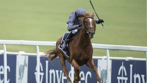 2020 Review: Limerick sports stars celebrate memorable successes