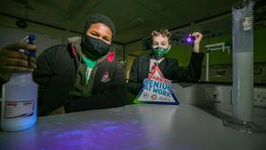 Limerick students enjoy success at BT Young Scientist & Technology Exhibition 2021