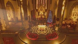 Eye in the Limerick sky: Peter captures life from above....and even indoors!