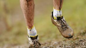 Limerick athletics weekly news round-up